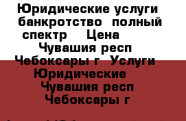 Юридические услуги (банкротство, полный спектр) › Цена ­ 500 - Чувашия респ., Чебоксары г. Услуги » Юридические   . Чувашия респ.,Чебоксары г.